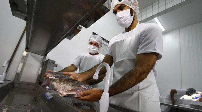 Estado investe na reativação de frigorífico fechado há 15 anos