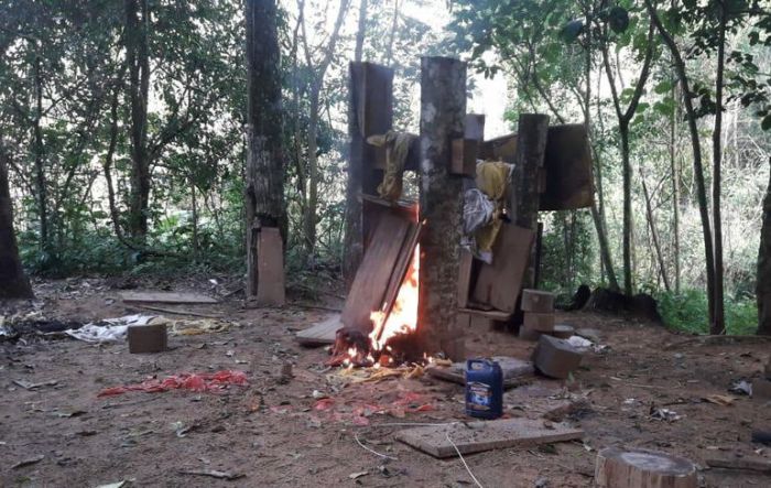 Destruyen varias hectáreas de marihuana en Lorito Picada Destruyen varias hectáreas de marihuana en Lorito Picada