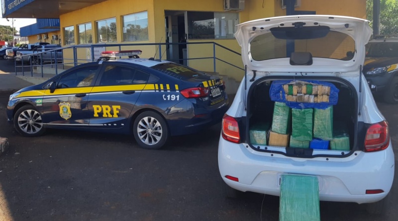 Vídeo: PRF apreende 208 Kg de maconha em Dourados Vídeo: PRF apreende 208 Kg de maconha em Dourados