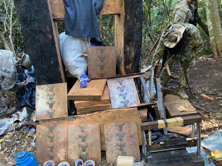 Destruyen complejo narco con 10 campamentos para cultivos de marihuana Destruyen complejo narco con 10 campamentos para cultivos de marihuana