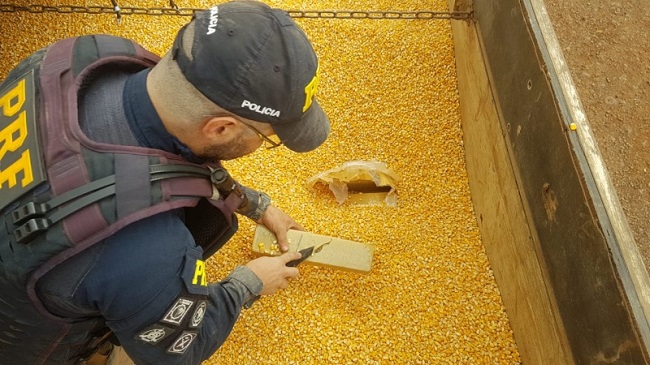Carreta que saiu de MS com 11,7 t de maconha é apreendida no Paraná Carreta que saiu de MS com 11,7 t de maconha é apreendida no Paraná