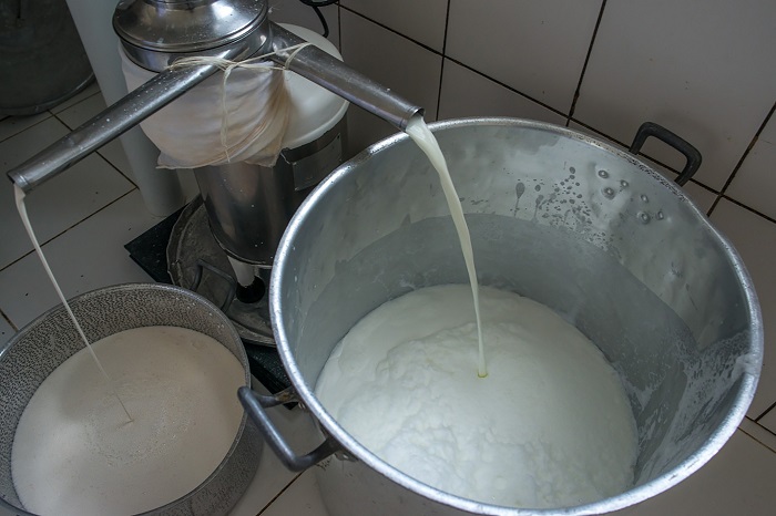 Modo de produção artesanal do Queijo do Marajó considerado único no mundo