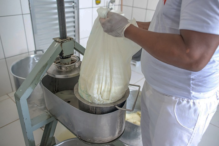 Modo de produção artesanal do Queijo do Marajó considerado único no mundo