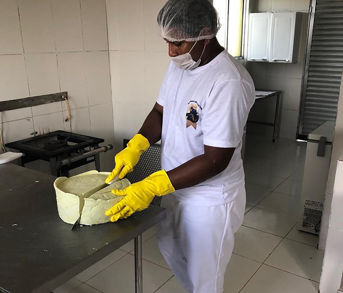 Modo de produção artesanal do Queijo do Marajó considerado único no mundo