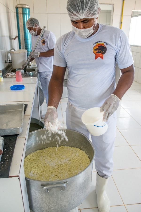 Modo de produção artesanal do Queijo do Marajó considerado único no mundo