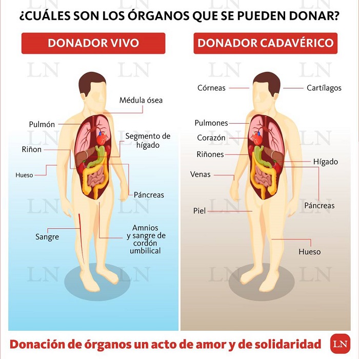 “Paraguay está libre del tráfico de órganos”, aseguran en vísperas del Día Nacional del Trasplante