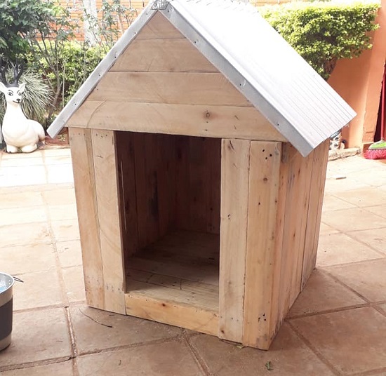 Tras quedar en silla de ruedas, aprendió a hacer casitas para perros y las vende por internet