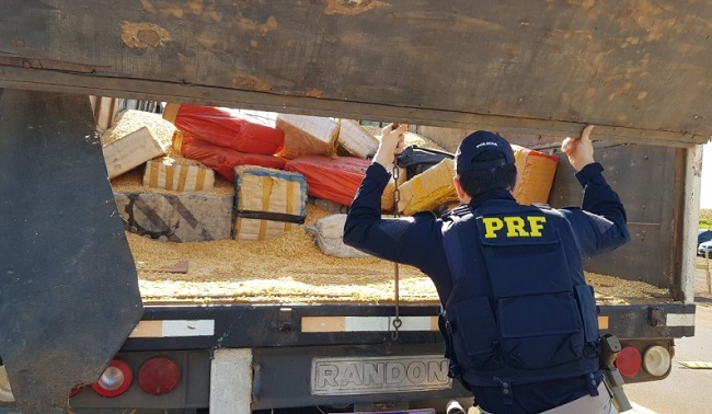 Ponta Porã: PRF apreende 9 toneladas de maconha em carga de milho