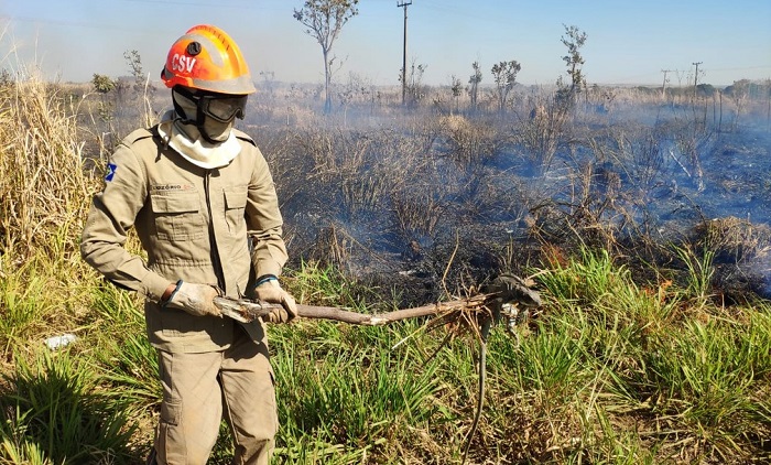 Anta é flagrada tentando fugir de incêndio que destruiu mais de 800 hectares Anta é flagrada tentando fugir de incêndio que destruiu mais de 800 hectares