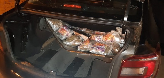 Durante operação, PRF apreende mulher com 27,7 Kg de skunk Durante operação, PRF apreende mulher com 27,7 Kg de skunk
