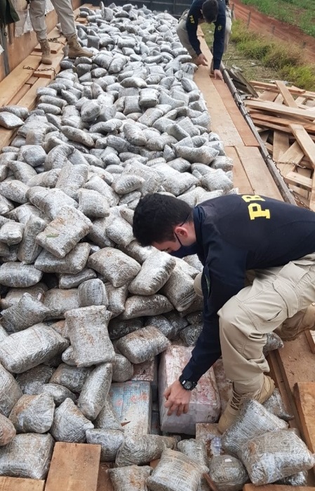 PRF apreende 2,3 toneladas de skunk e 2,2 toneladas de maconha sob carga de madeira PRF apreende 2,3 toneladas de skunk e 2,2 toneladas de maconha sob carga de madeira