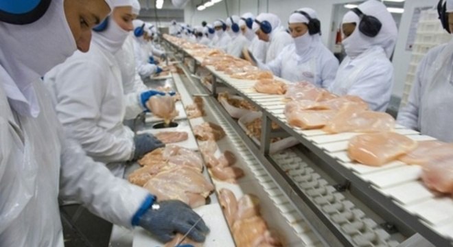 fabrica-de-frango-12072019092552355