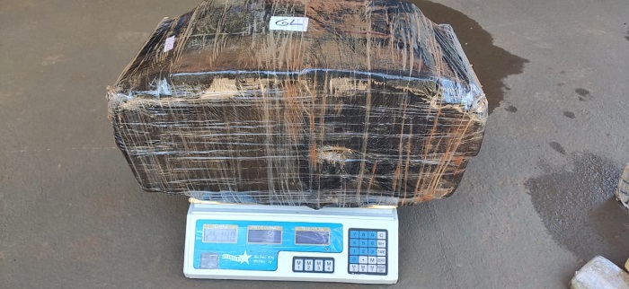 Paulista com habilitação falsa é preso transportando 229 kg de maconha Paulista com habilitação falsa é preso transportando 229 kg de maconha