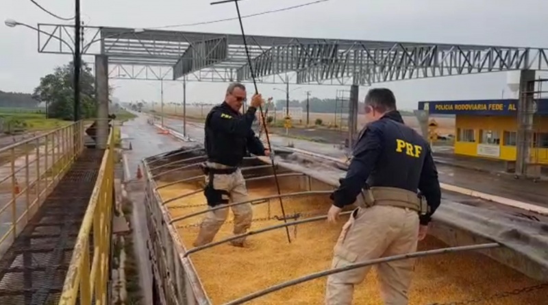 Vídeo: Em Ponta Porã, PRF apreende 11 toneladas de maconha sob carga de milho