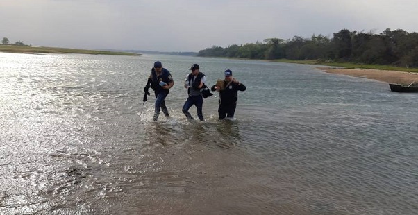 Incautan más de mil kilos de marihuana a orillas del Paraná Incautan más de mil kilos de marihuana a orillas del Paraná