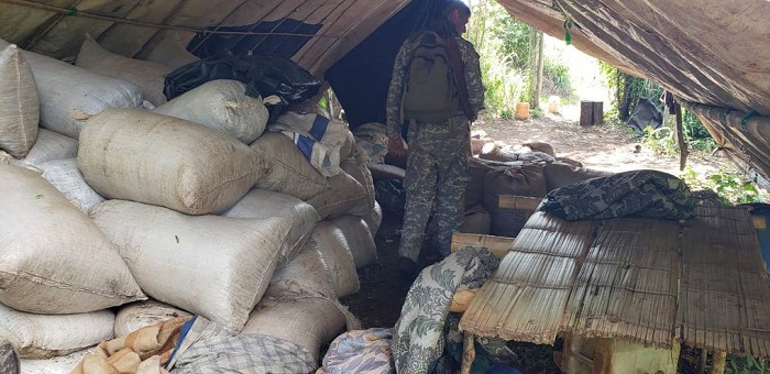 En 5 días de operativo, la Senad anuló más de 350 toneladas de marihuana En 5 días de operativo, la Senad anuló más de 350 toneladas de marihuana