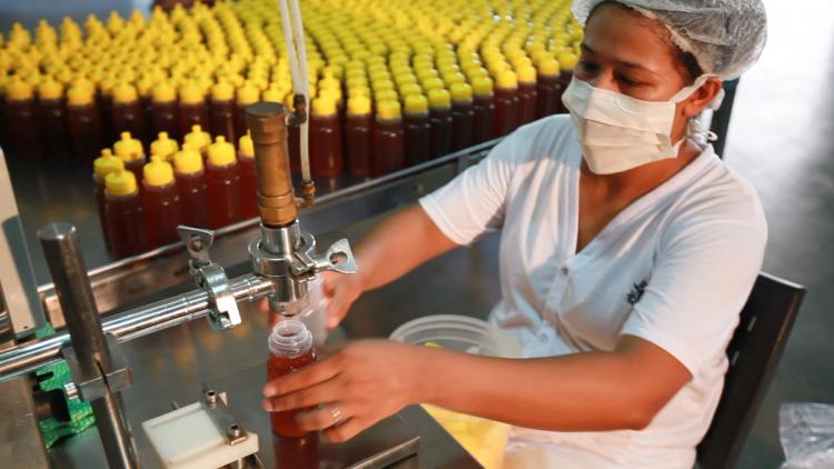 Apicultura em MS é reconhecida por qualidade e caminha para produção orgânica Apicultura em MS é reconhecida por qualidade e caminha para produção orgânica
