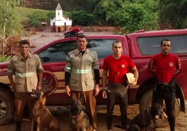 Cadela que atuou em Brumadinho e Mariana morre; 'dedicou sua existência em salvar vidas' Cadela que atuou em Brumadinho e Mariana morre; 'dedicou sua existência em salvar vidas'