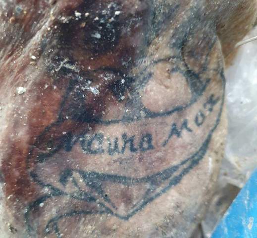 Ponta Porã: Tatuagem é pista para polícia identificar corpo concretado em tambor