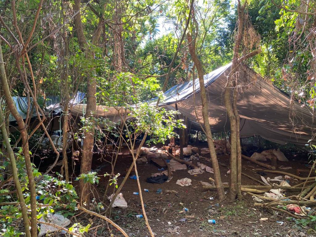 Decomisan más de 8 toneladas de marihuana y capturan a traficante en Maracaná