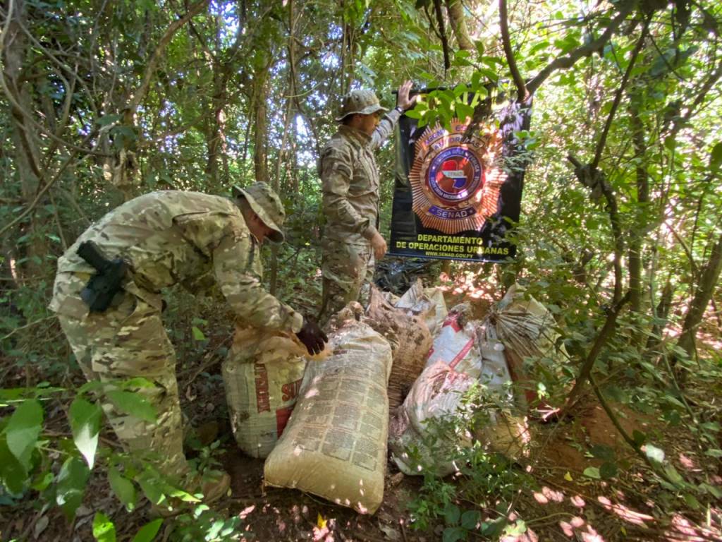 Decomisan más de 8 toneladas de marihuana y capturan a traficante en Maracaná