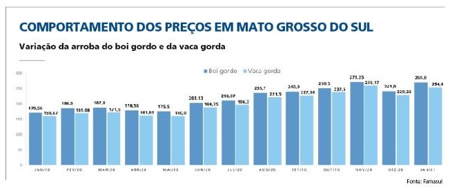 Com falta de gado para abate, Estado tenta importar animais do Paraguai Com falta de gado para abate, Estado tenta importar animais do Paraguai