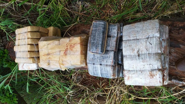 Militares decomisan unos 150 kilos de marihuana en reserva de binacional Militares decomisan unos 150 kilos de marihuana en reserva de binacional