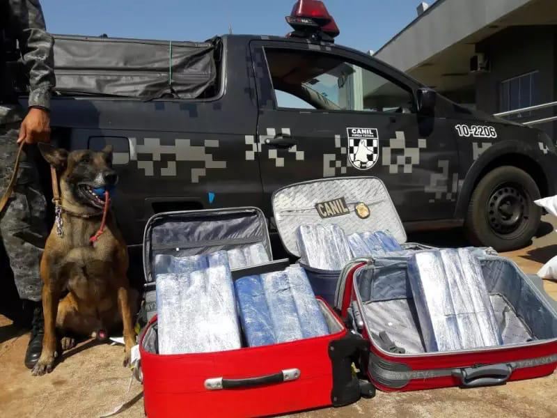 Canil da Polícia Militar de Dourados se despede do Cão Farejador - K9 Roberto