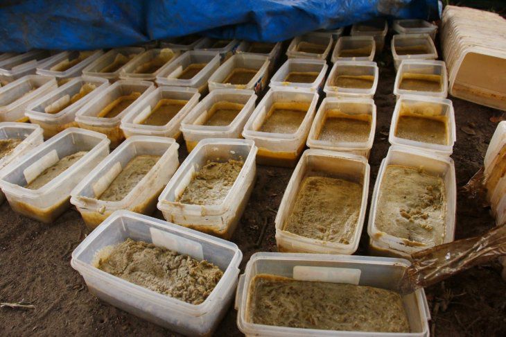 Senad detecta laboratorio de cocaína en el Parque Nacional Paso Bravo Senad detecta laboratorio de cocaína en el Parque Nacional Paso Bravo