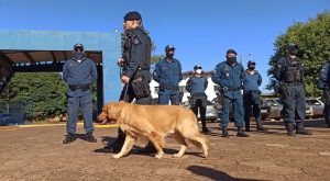 Polícia Militar inaugura canil e implanta nova modalidade de policiamento em Ponta Porã