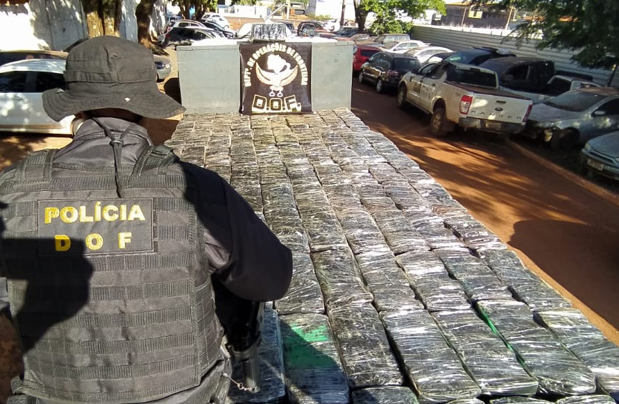 Caminhão com mais de 6 toneladas de maconha foi apreendido pelo DOF Caminhão com mais de 6 toneladas de maconha foi apreendido pelo DOF