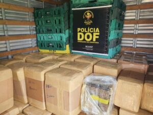 Ponta Porã: Caminhão com quase três toneladas de maconha foi apreendido pelo DOF
