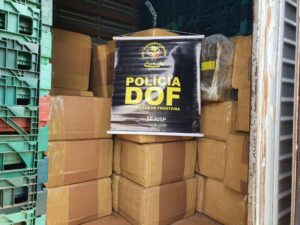 Ponta Porã: Caminhão com quase três toneladas de maconha foi apreendido pelo DOF