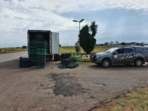 Ponta Porã: Caminhão com quase três toneladas de maconha foi apreendido pelo DOF