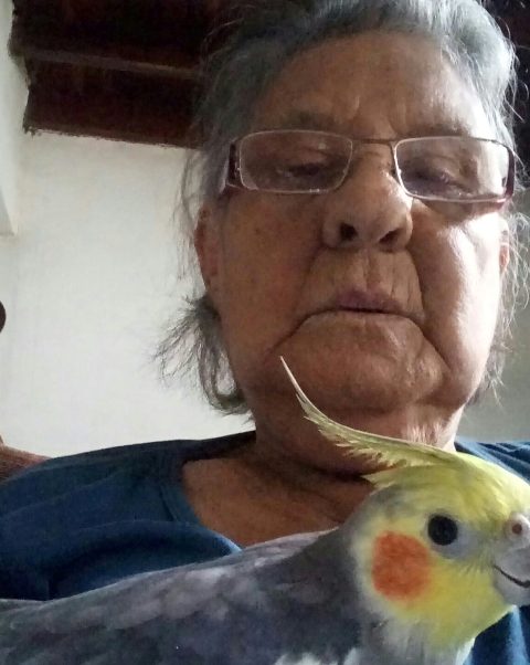 Saiba quem troca de idade hoje, 28 de julho, por Dora Nunes Saiba quem troca de idade hoje, 28 de julho, por Dora Nunes