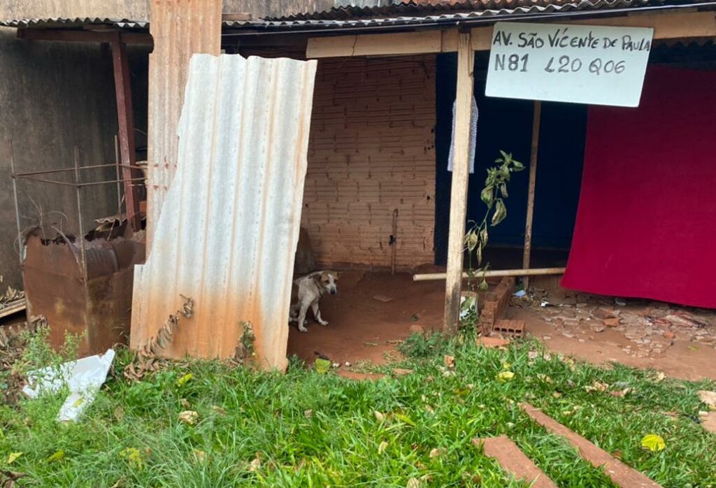 Em Ponta Porã, Guarda Municipal e CCZ libertam cachorros em situação de abandono Em Ponta Porã, Guarda Municipal e CCZ libertam cachorros em situação de abandono