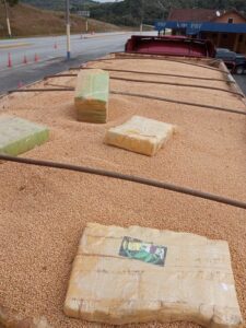 PRF, PF e PM faz mega-apreensão de 24,2 toneladas de maconha que saiu de Ponta Porã PRF, PF e PM faz mega-apreensão de 24,2 toneladas de maconha que saiu de Ponta Porã