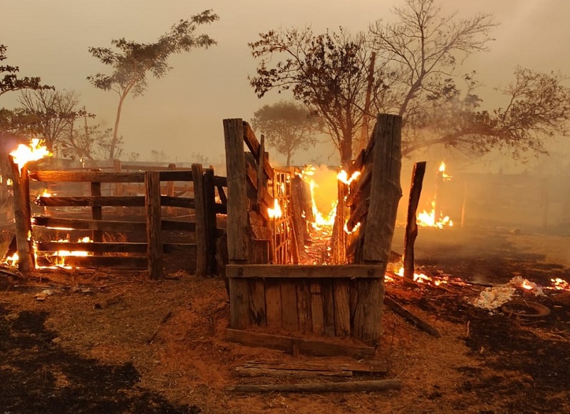 Incêndio atinge 30 mil m² de reserva florestal no Parque Alexandrina, em Presidente Prudente Incêndio atinge 30 mil m² de reserva florestal no Parque Alexandrina, em Presidente Prudente