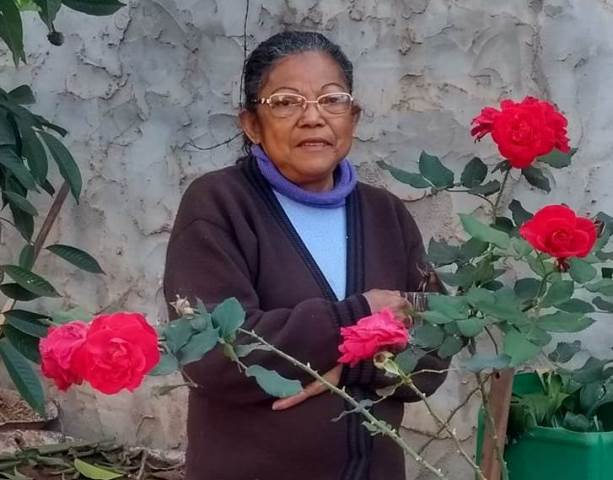 Saiba quem troca de idade hoje, 26 de agosto, por Dora Nunes Saiba quem troca de idade hoje, 26 de agosto, por Dora Nunes