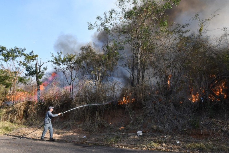 Incêndio atinge 30 mil m² de reserva florestal no Parque Alexandrina, em Presidente Prudente Incêndio atinge 30 mil m² de reserva florestal no Parque Alexandrina, em Presidente Prudente