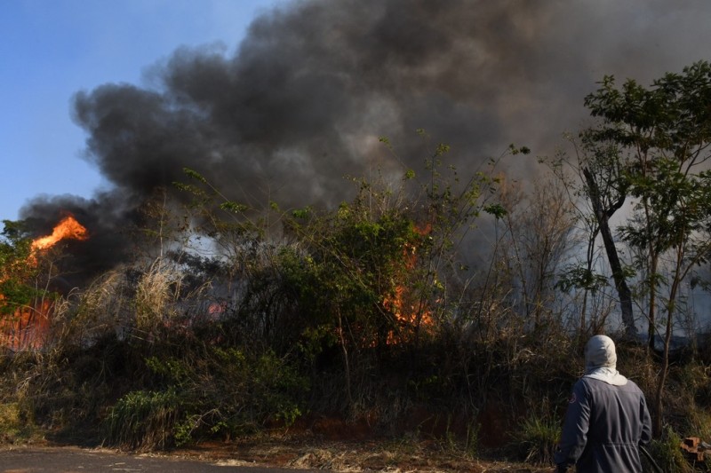 Incêndio atinge 30 mil m² de reserva florestal no Parque Alexandrina, em Presidente Prudente Incêndio atinge 30 mil m² de reserva florestal no Parque Alexandrina, em Presidente Prudente