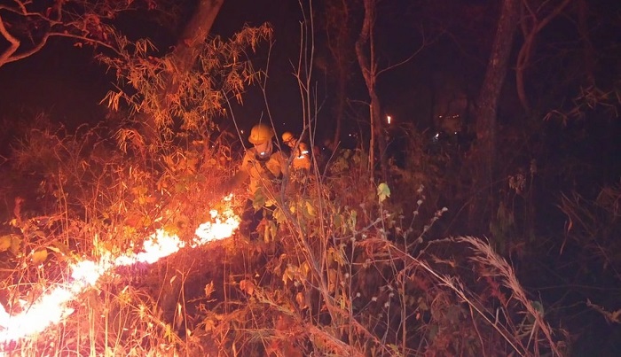 Bombeiros montam base em fazenda e atuam 'dia e noite' para combater fogo que se alastra no Pantanal