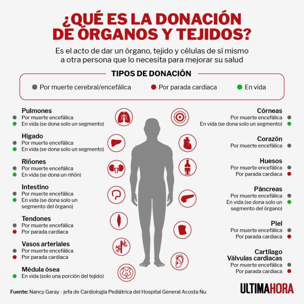 Día Nacional del Donante: Hay 212 personas en la lista de espera de un órgano Día Nacional del Donante: Hay 212 personas en la lista de espera de un órgano
