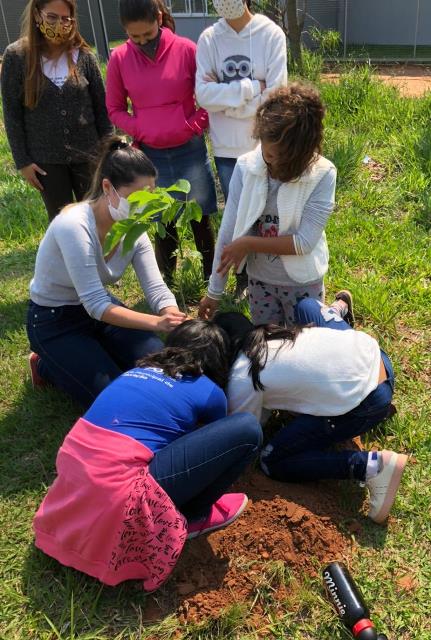 Ponta Porã: Prefeitura desenvolve projeto para conscientizar a população sobre a importância de manter a vegetação nativa