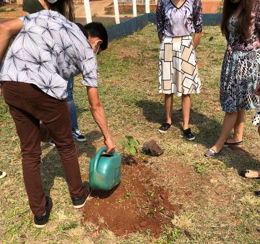 Ponta Porã: Prefeitura desenvolve projeto para conscientizar a população sobre a importância de manter a vegetação nativa