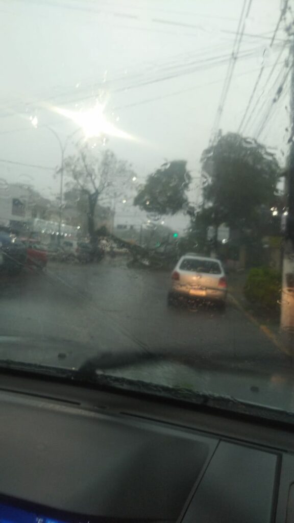 Chuva deixa rastros de destruição em Ponta Porã
