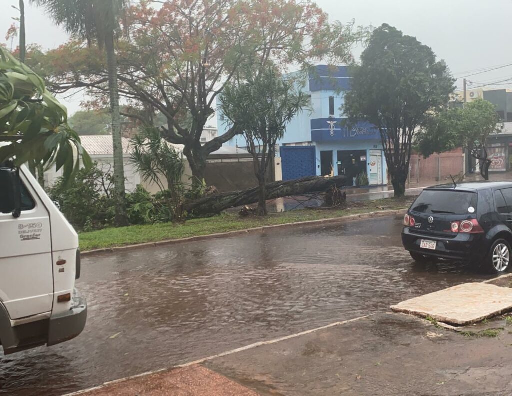 Chuva deixa rastros de destruição em Ponta Porã