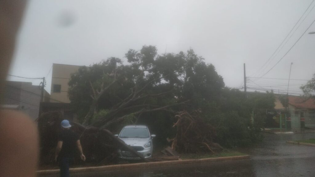 Chuva deixa rastros de destruição em Ponta Porã