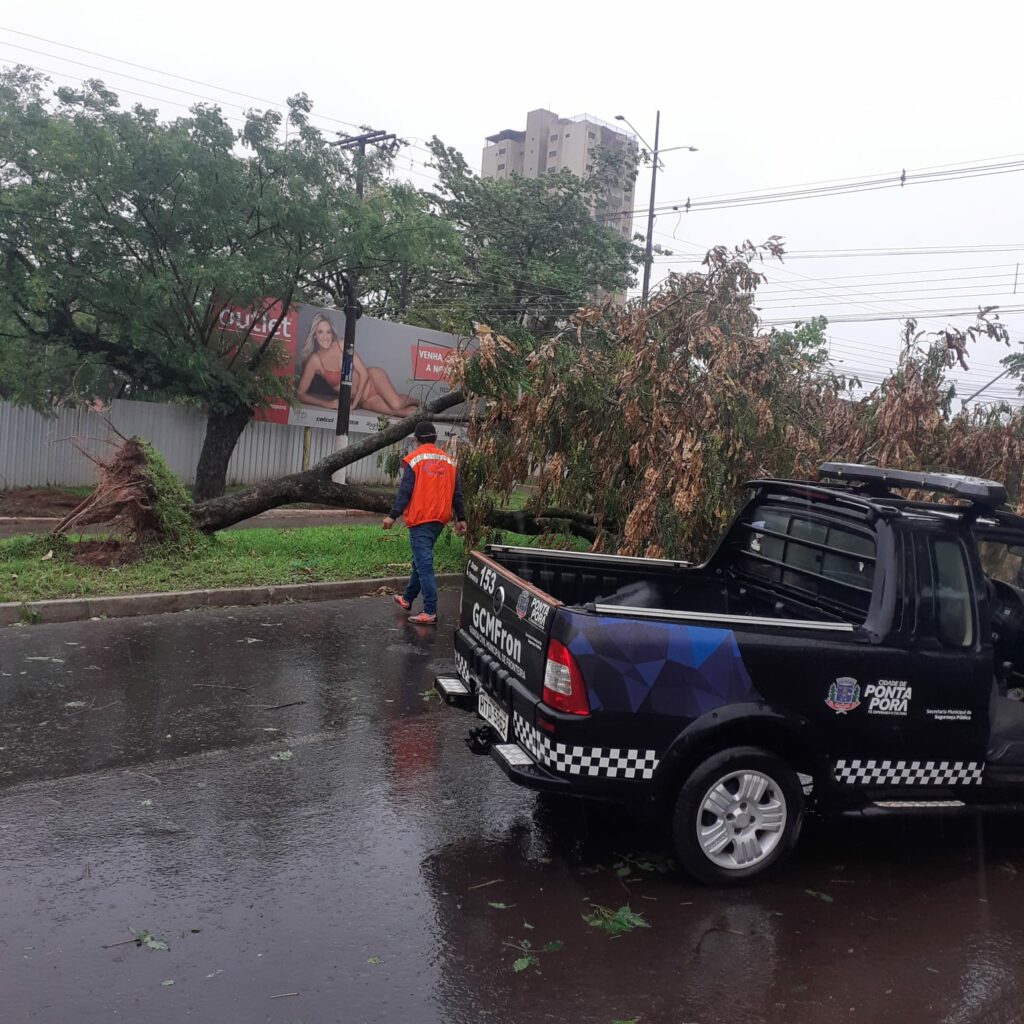 Chuva deixa rastros de destruição em Ponta Porã