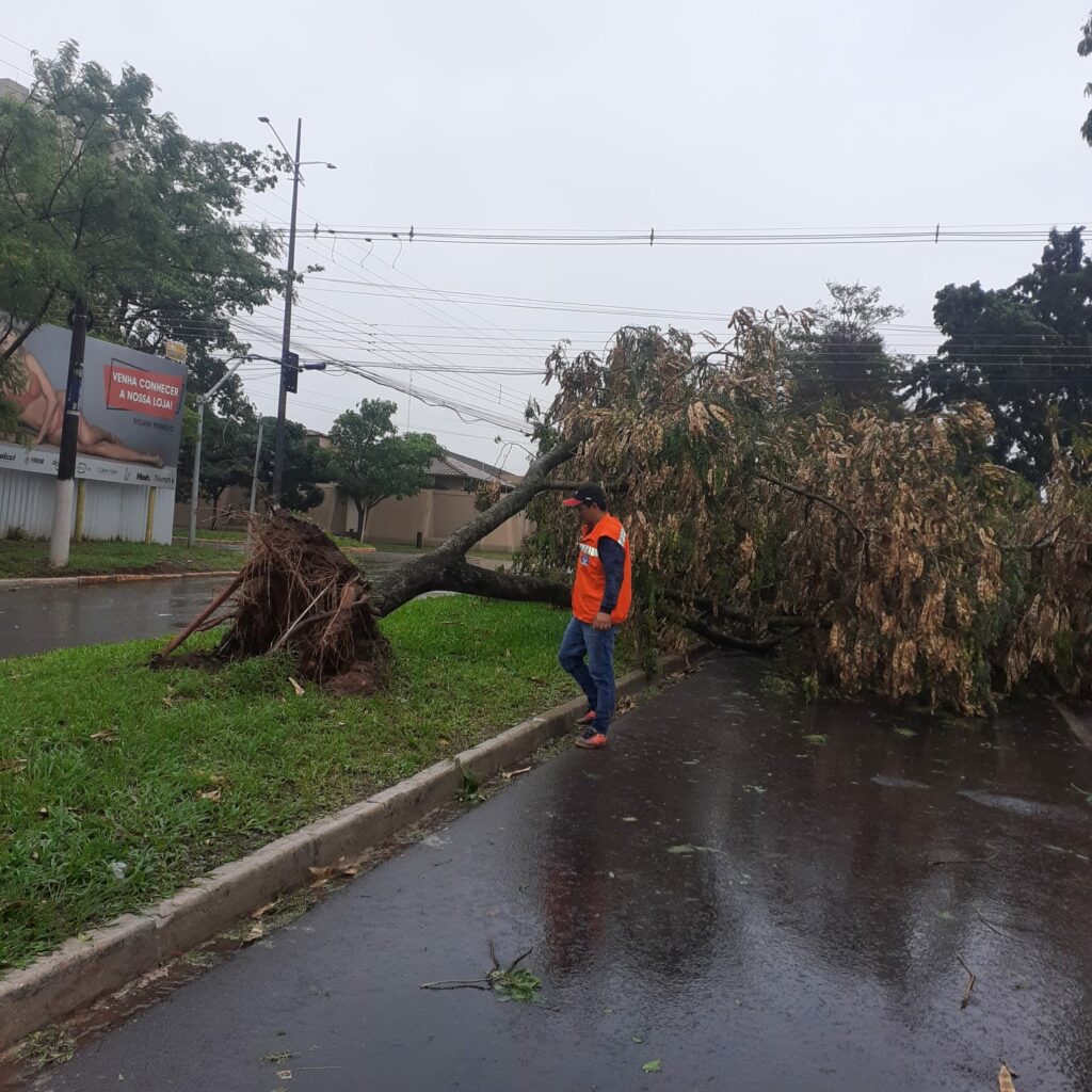 Chuva deixa rastros de destruição em Ponta Porã